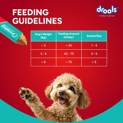 Drools Dog Treats Creamy Chicken & Pumpkin