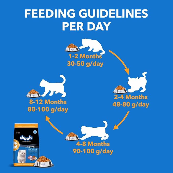 Drools Kitten Real Chicken Dry Food