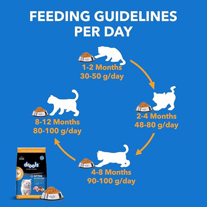Drools Kitten Real Chicken Dry Food