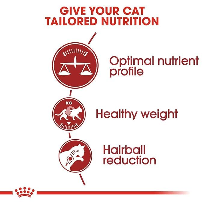 Royal Canin FIT-32 Cat Dry Food