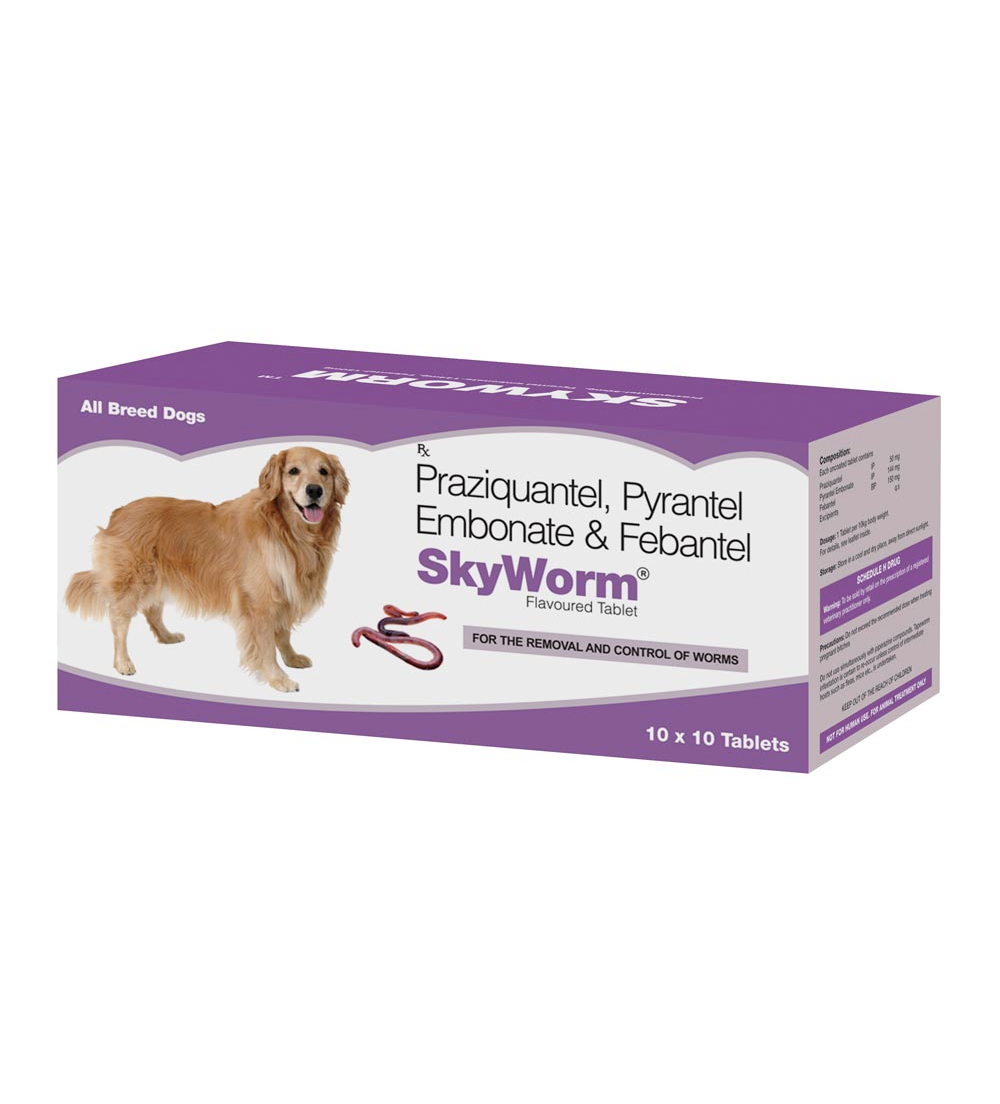 SKYWORM XL Deworming Dog - image 3
