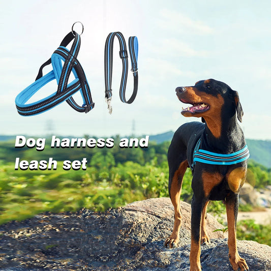 HobbsGo Premium Nylon Harness & Leash Set 0.75inch Pack