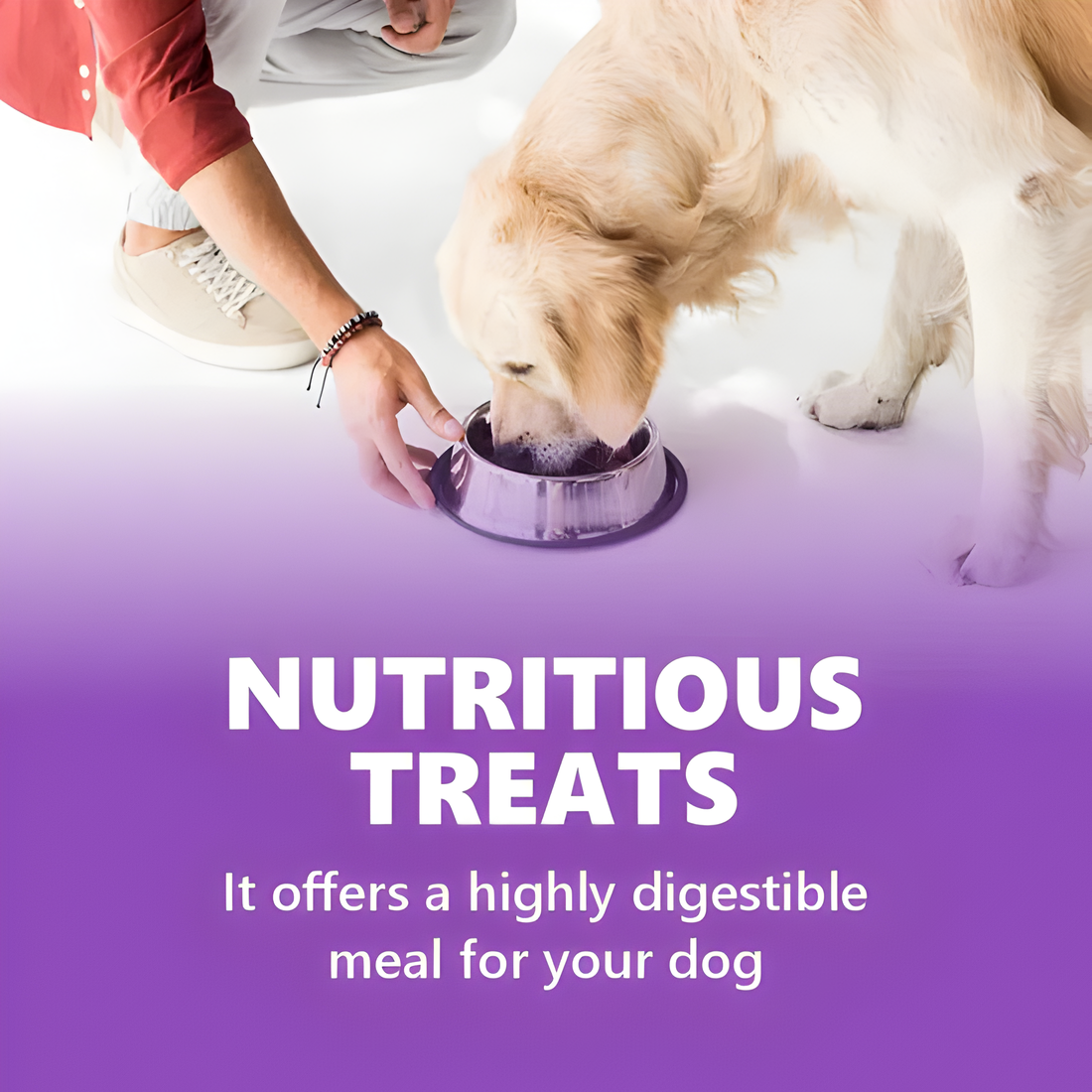 JerHigh Chicken Blueberry Dog Treat - 70g