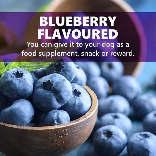 JerHigh Chicken Blueberry Dog Treat - 70g