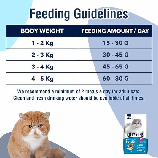 Kitty Yums Ocean Fish Persian Cat Dry Food