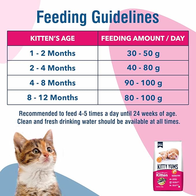 Kitty Yums Ocean Fish Kitten Dry Food
