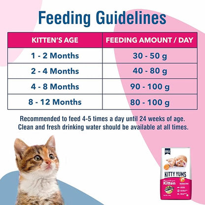 Kitty Yums Ocean Fish Kitten Dry Food