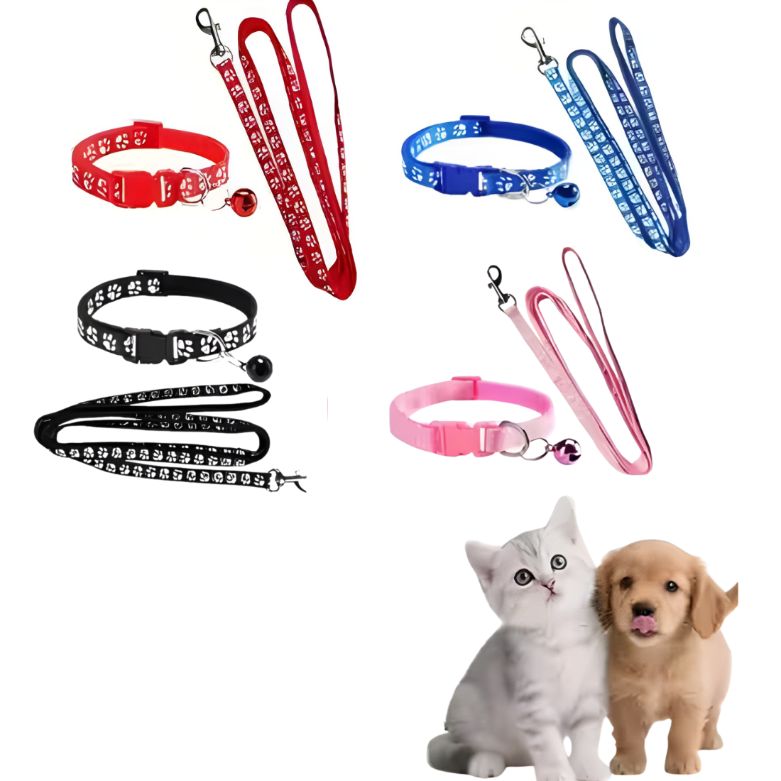 Matching Collar and Leash Sets