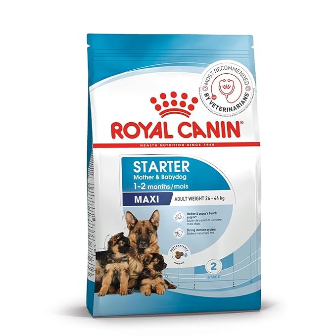 Royal Canin Maxi Starter Dog Dry Food Bag