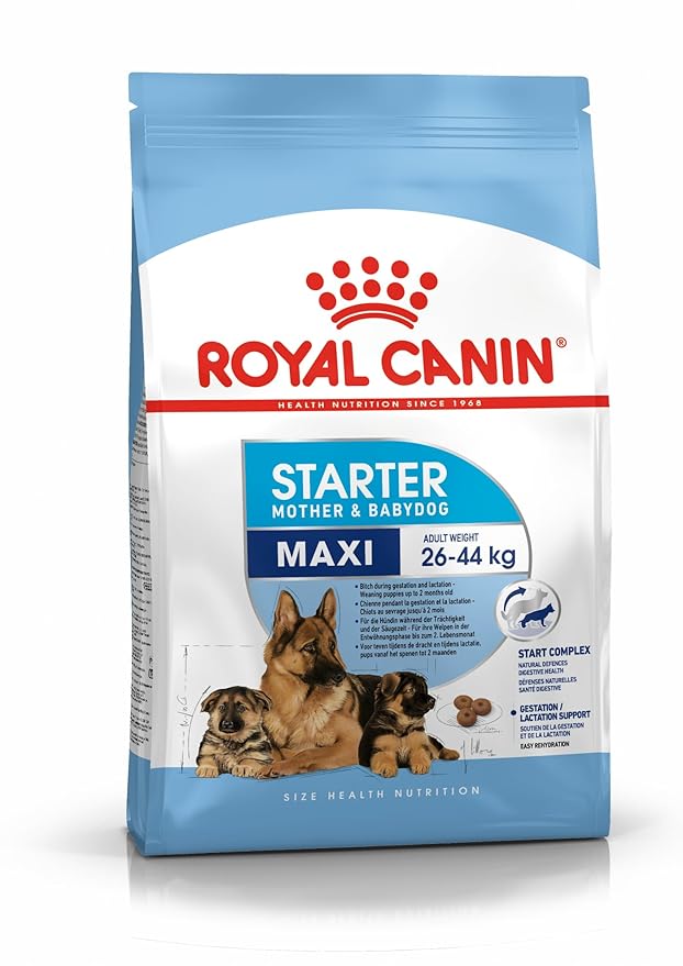 Royal Canin Maxi Starter Dog Dry Food