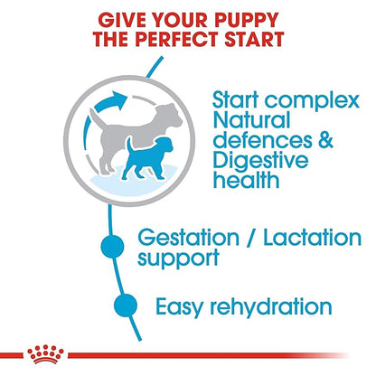Royal Canin Mini Starter Dog Dry Food