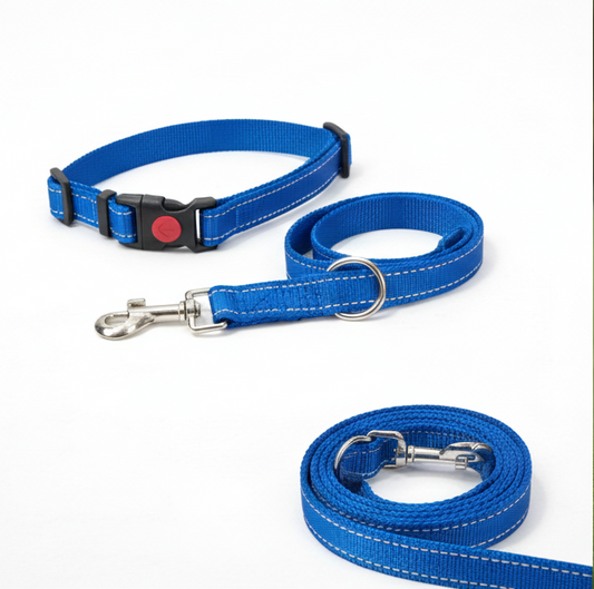 Reflective Nylon Dog Collar & Leash Set