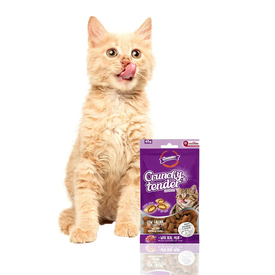 Gnawlers Crunchy & Tender Salman Flavour - 65g - image 4