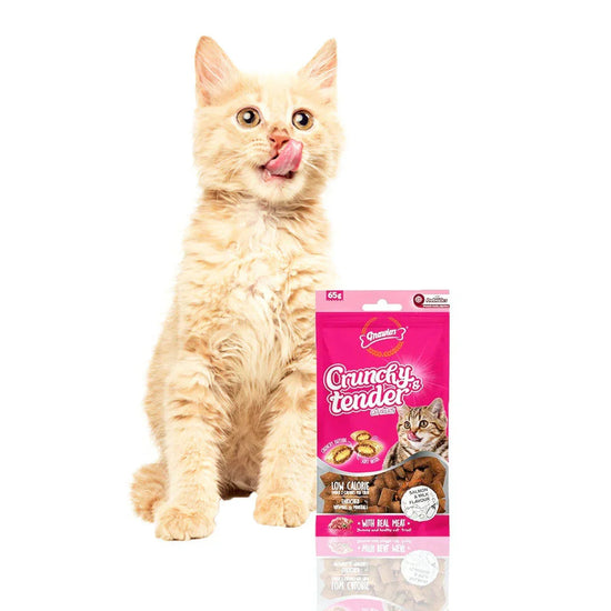 Gnawlers Crunchy & Tender Salman & Milk Flavour - 65g - image 4