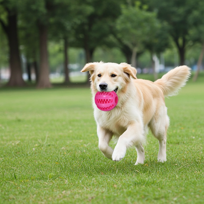 Treat Dispensing Spike Ball - Interactive Toy