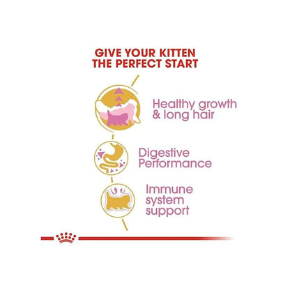 Royal Canin Persian Kitten Dry Food