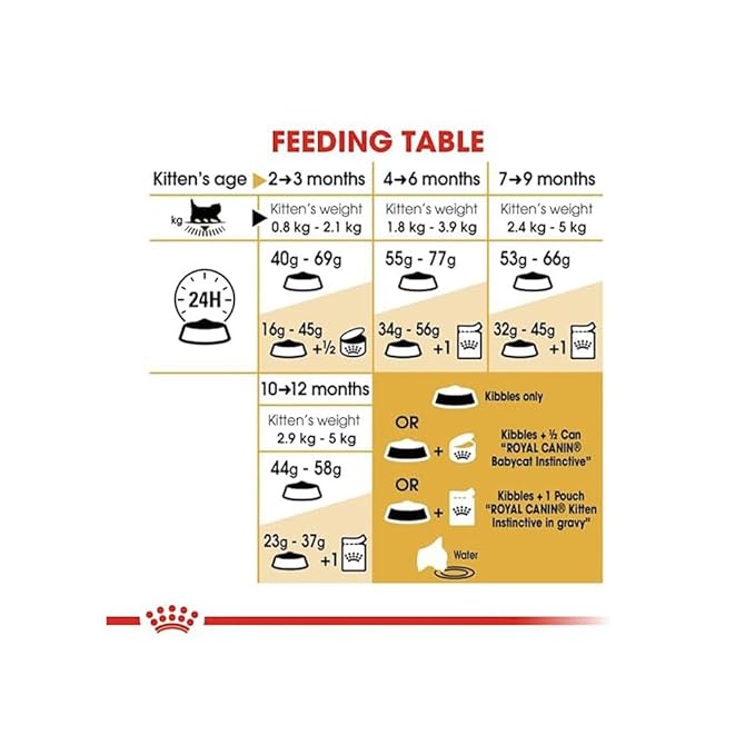 Royal Canin Persian Kitten Dry Food