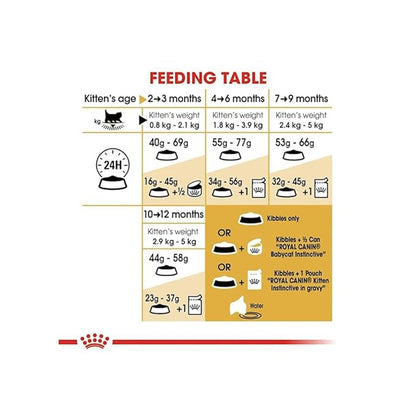 Royal Canin Persian Kitten Dry Food