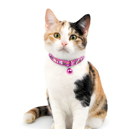 Patterned Nylon Pet Collars - 0.5Inch