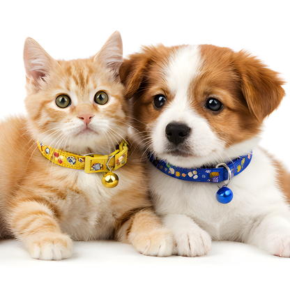 Patterned Nylon Pet Collars - 0.5Inch