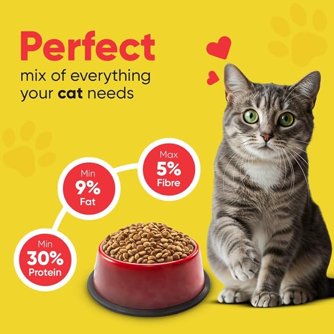 Petmax Felina Kitten - Ocean Fish