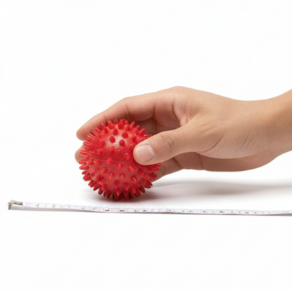 Drools Spike Ball Dog Toy