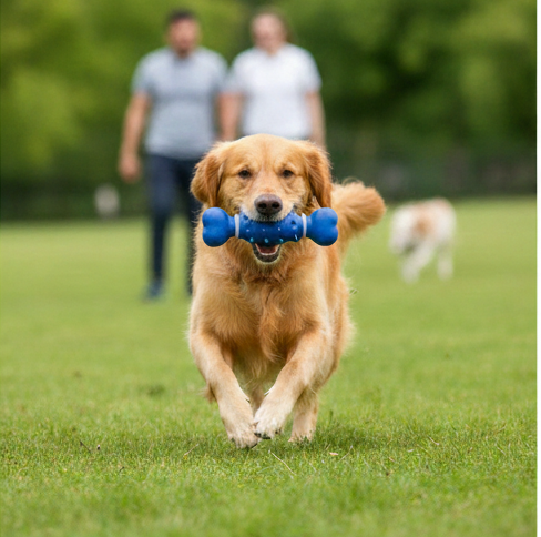 Drools Spike Bone Dog Toy