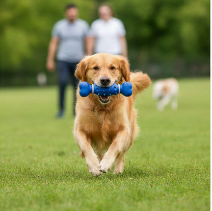 Drools Spike Bone Dog Toy