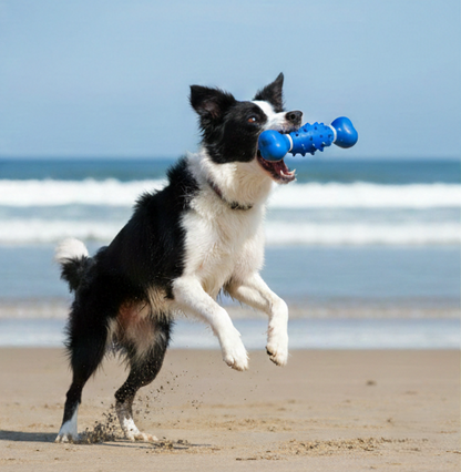 Drools Spike Bone Dog Toy