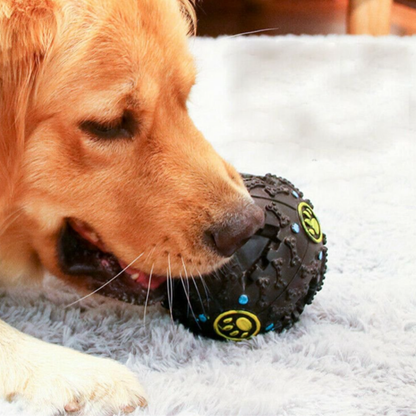 Sound Ball – Interactive Squeaky Dog Toy