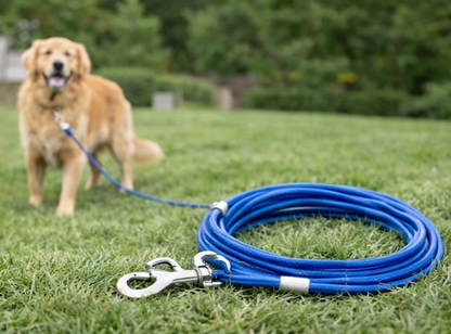 Tie Out Cable