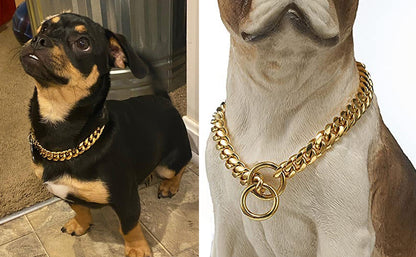 Golden Choke Dog Collar - 8 - image 3