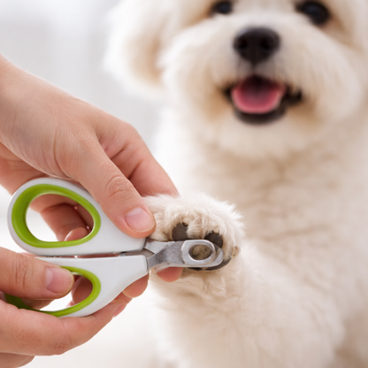 Cat & Dog Nail Clippers - Dog and Cat Nail Cutter