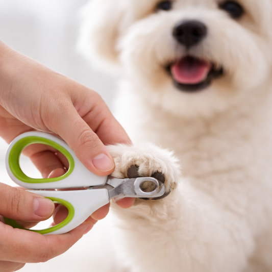 Cat & Dog Nail Clippers - Dog and Cat Nail Cutter