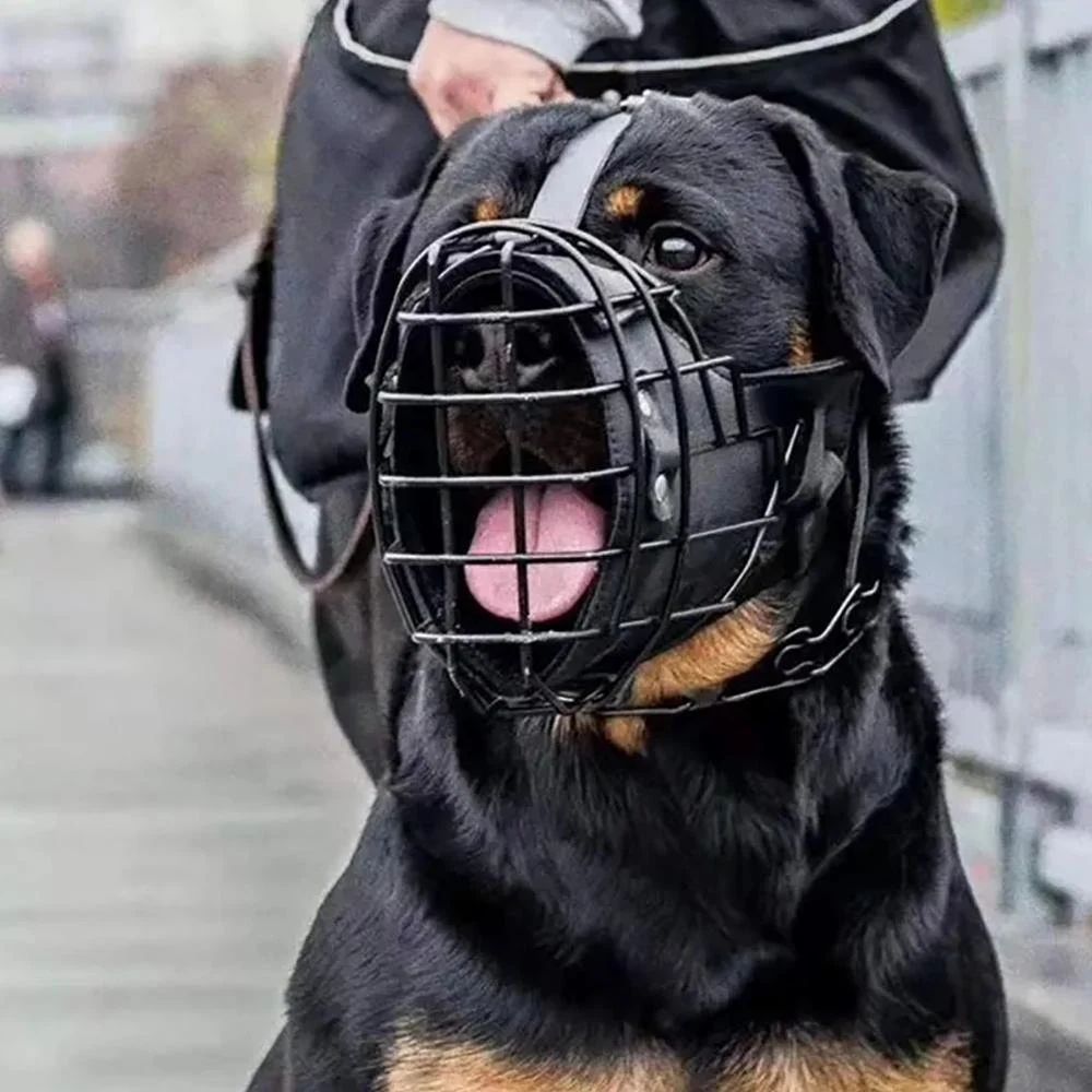 Heavy Duty Iron Muzzle for dog - image 2