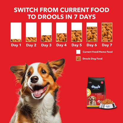 Drools Chicken and Egg Puppy Dog Dry Food