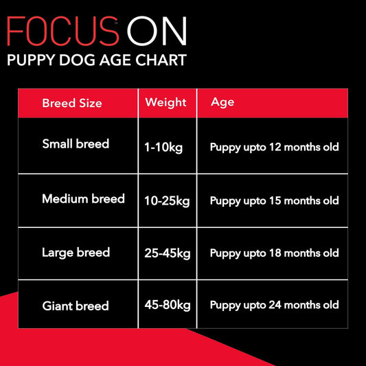 Drools Focus Puppy Super Premium Dog Dry Food