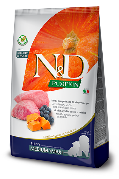 Farmina N&D Pumpkin Dog Food Lamb Adult Medium / Maxi 2.5kg Bag