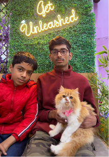 Pet grooming transformation