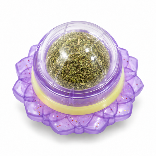 Purple catnip ball toy with transparent dome containing dried herbal material and a decorative flower-shaped base.