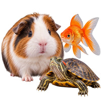 Small Pets