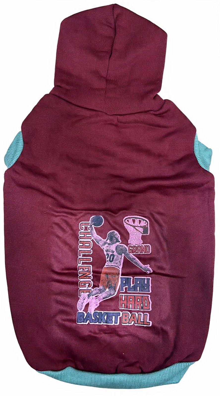 Playful Pet Hoodie