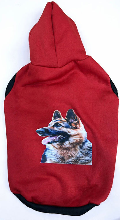 Playful Pet Hoodie