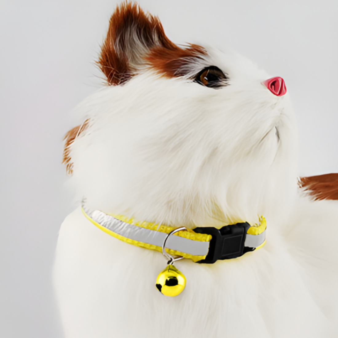 Reflective Pet Collars