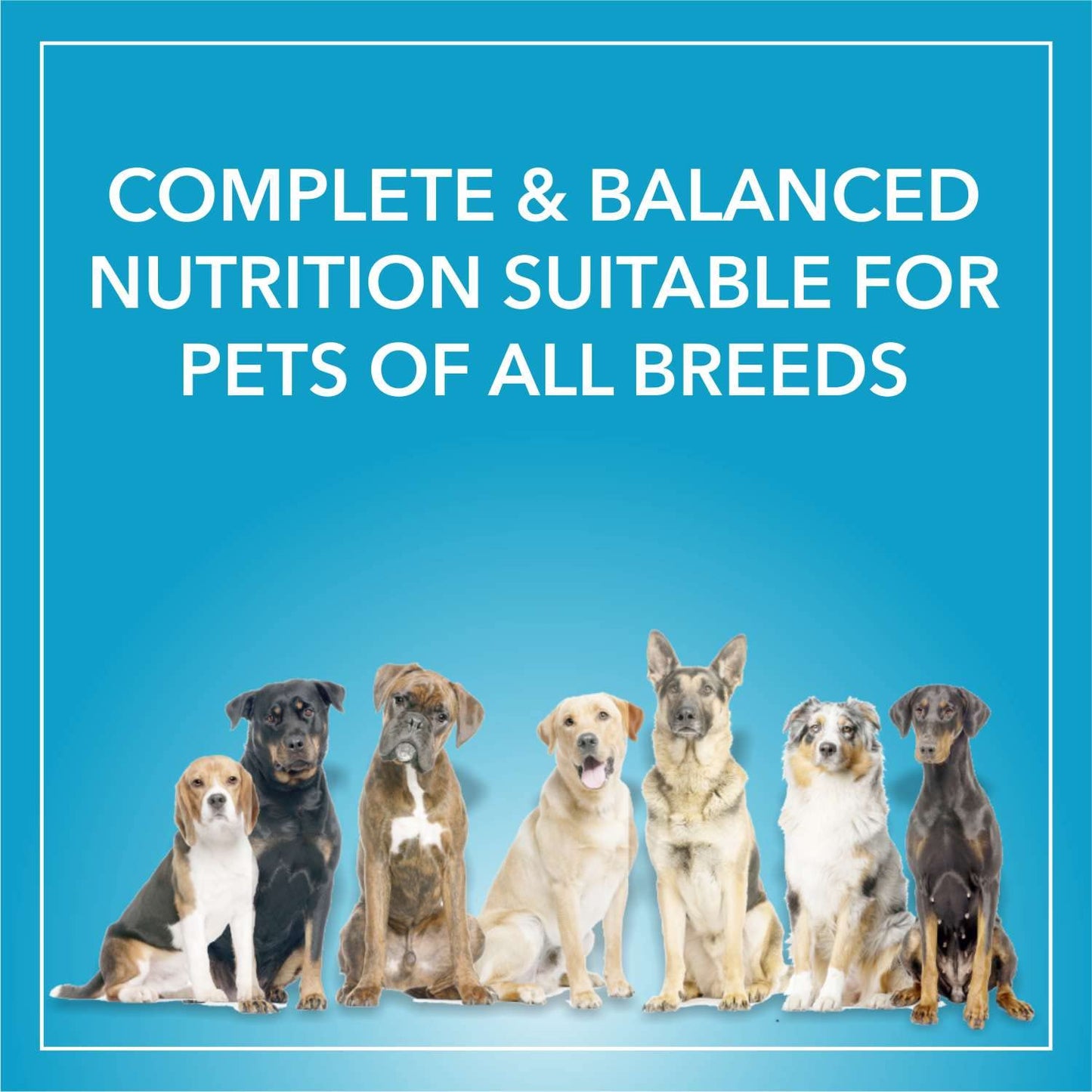 Purepet Adult Chicken & Vegetable Dog Dry Food