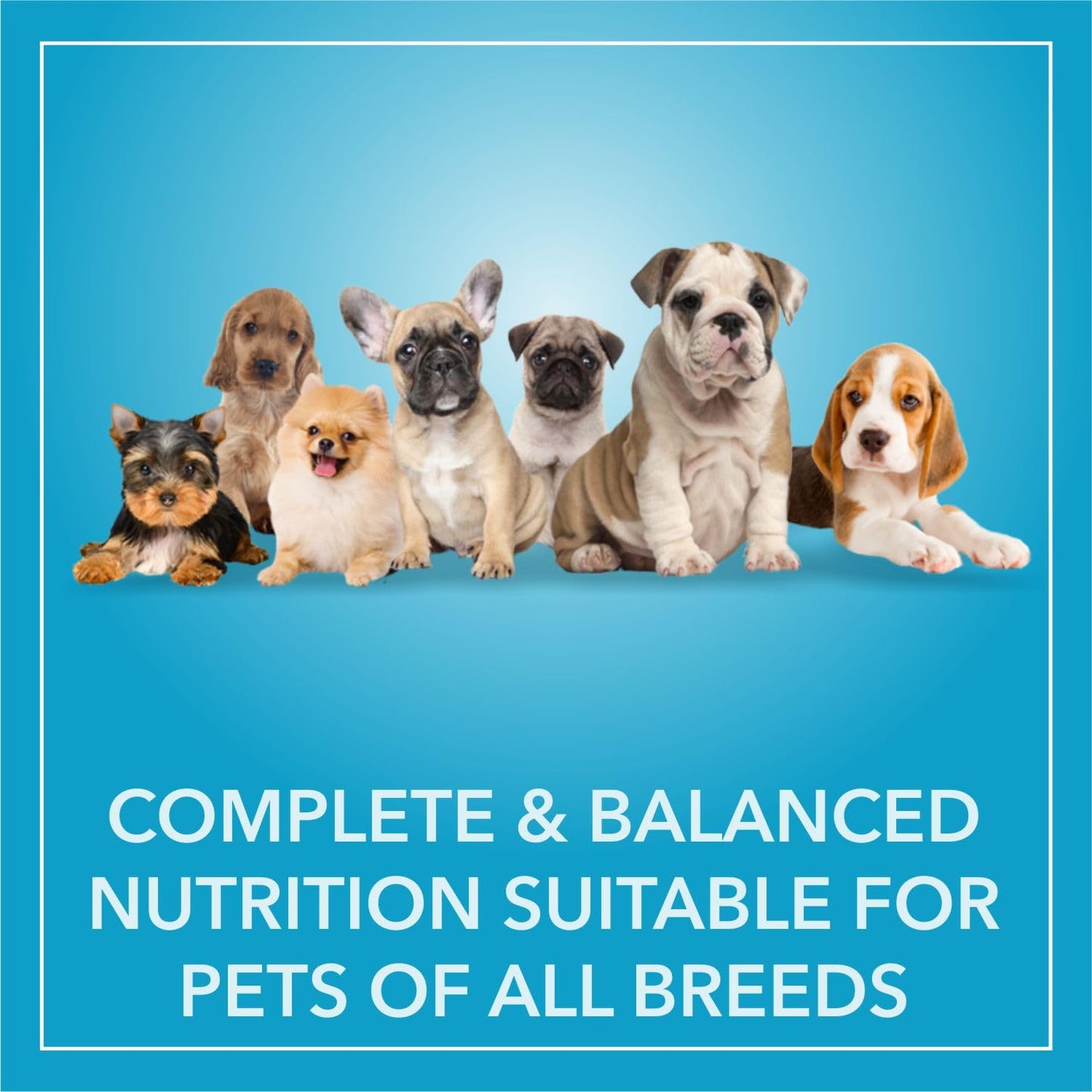 Purepet Puppy Chicken & Vegetables Dog Dry Food