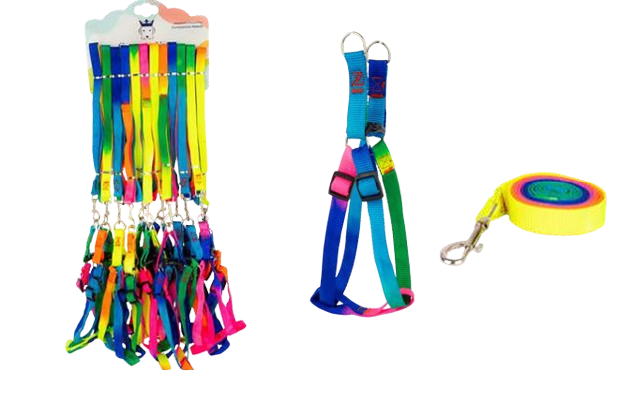Rainbow Nylon Collar - 10mm Puppy & Cat