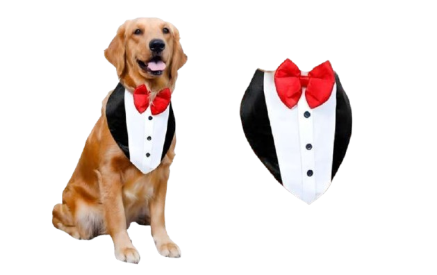 Tuxedo Bandana for Dogs - Large