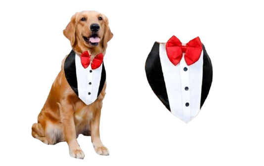 Tuxedo Bandana for Dogs - Large