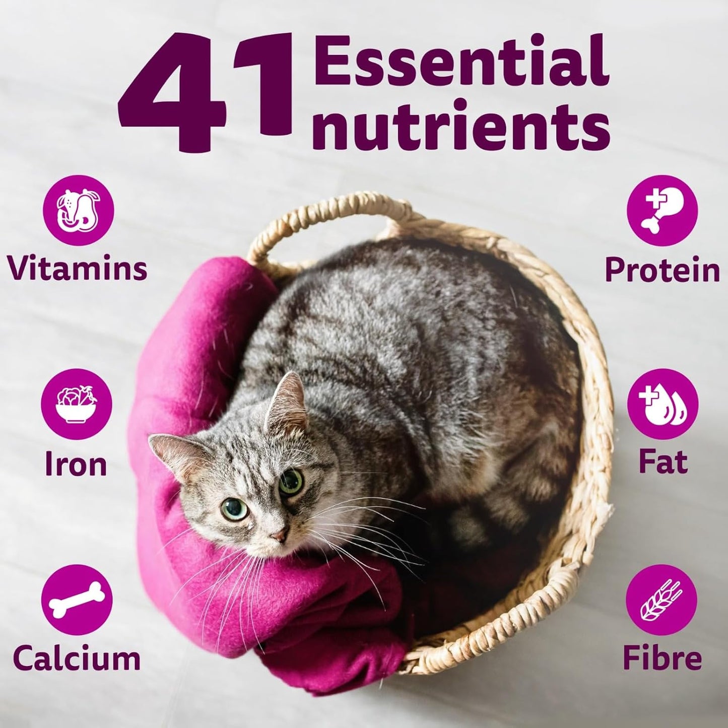 Whiskas Adult Dry Cat Food (1+ Years) –  Mackerel Flavour
